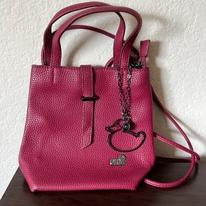 CR2 burgundy red pebbles crossbody